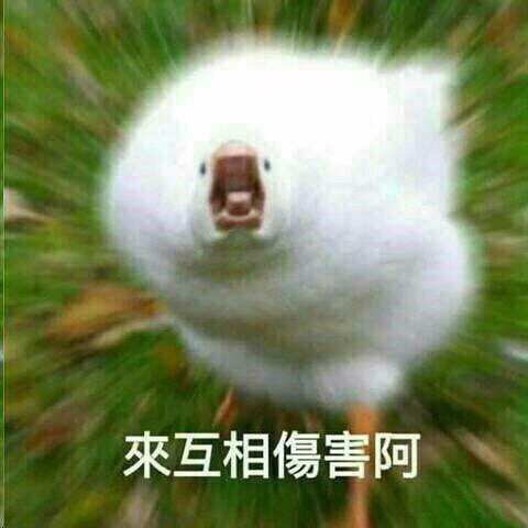 公司名稱變不見了 - duck